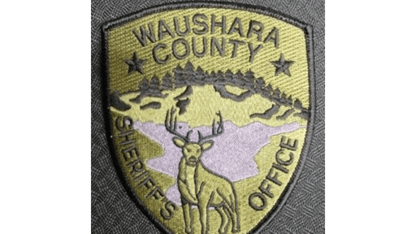 Waushara Co sheriff reaches deal to repay county half of $22k in K9 funds he took